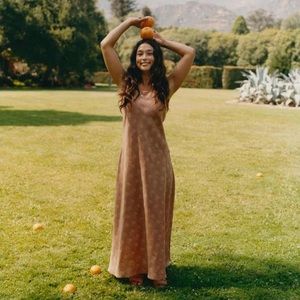 NWT Christy Dawn Sage dress